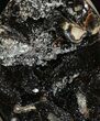 Polished Septarian Geode - Black Crystals #89566-1
